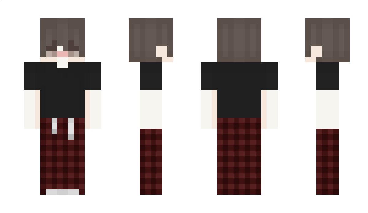 ssafe Minecraft Skin