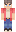 VEZ1X Minecraft Skin