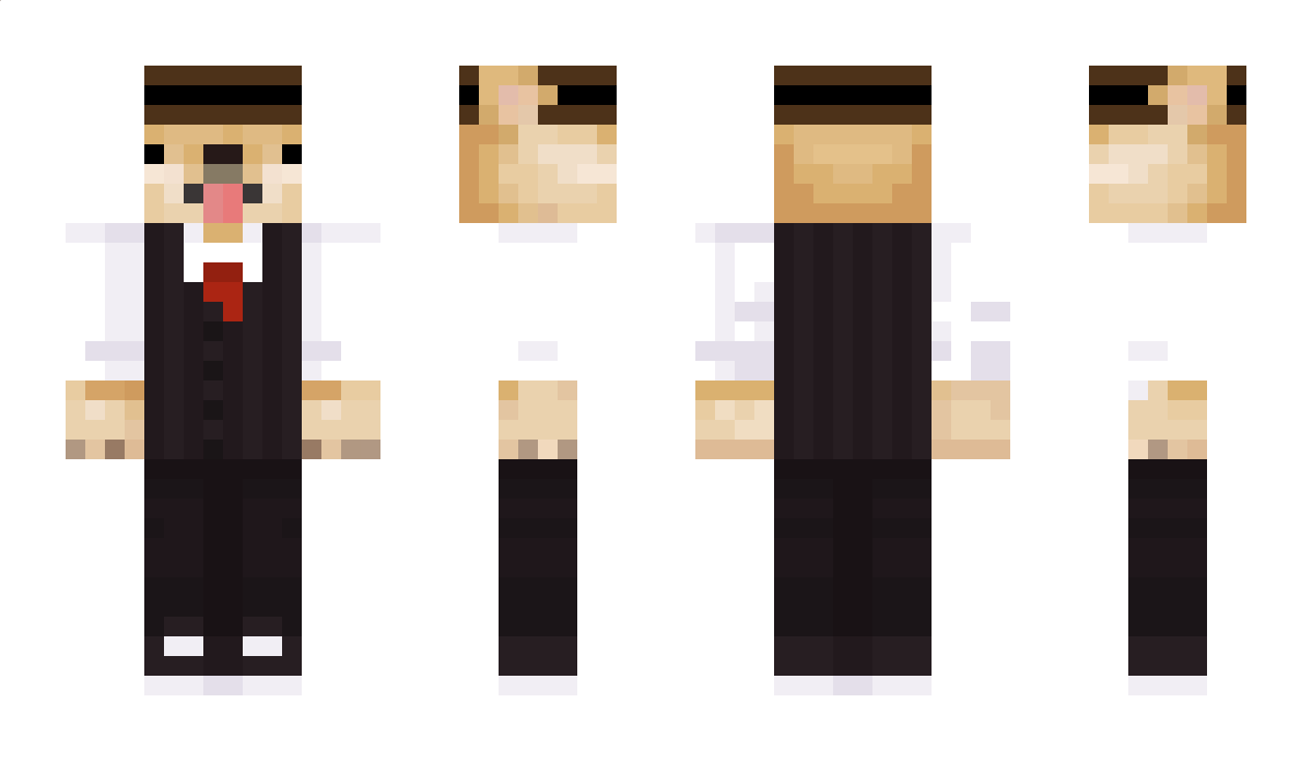 Dogeking2047 Minecraft Skin