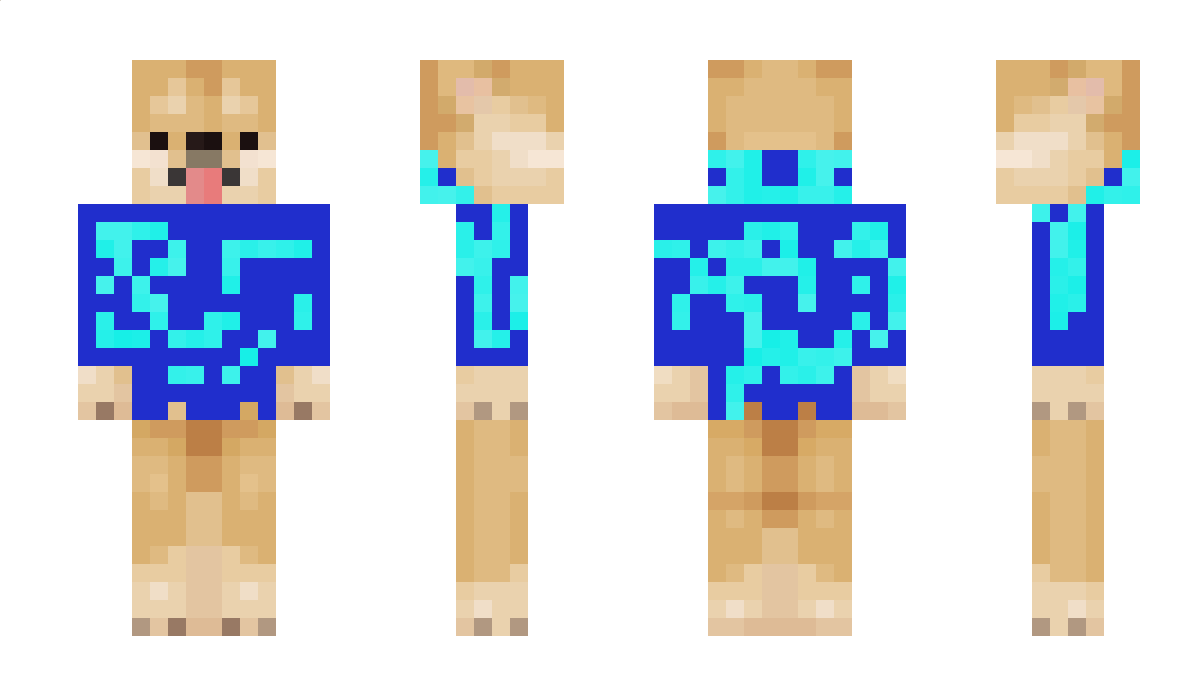 DOGGYGAMER Minecraft Skin