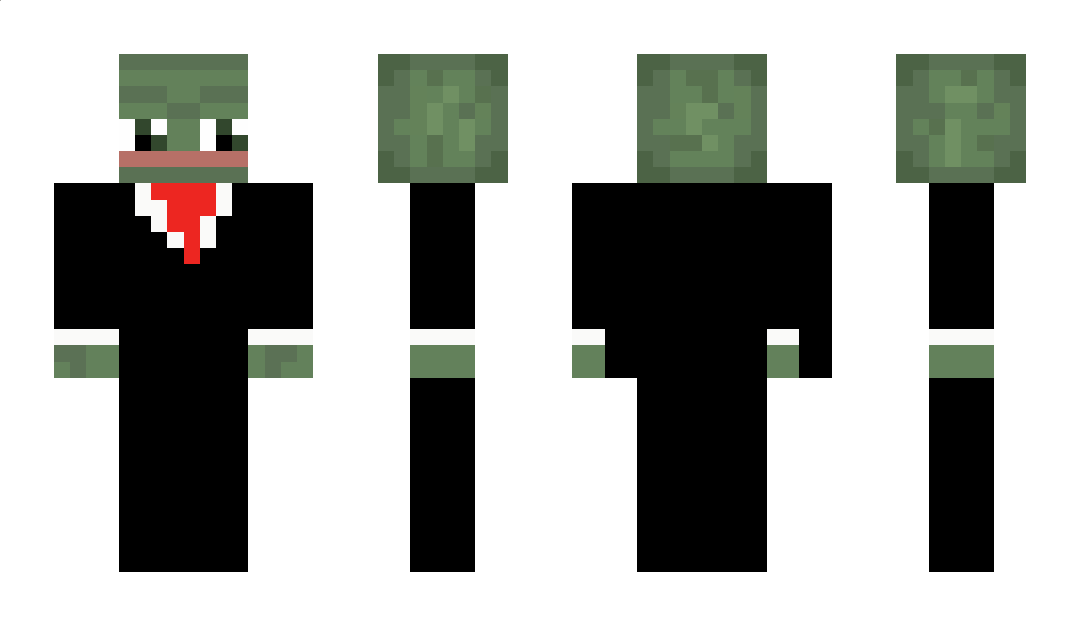 pogromcaludkow_ Minecraft Skin