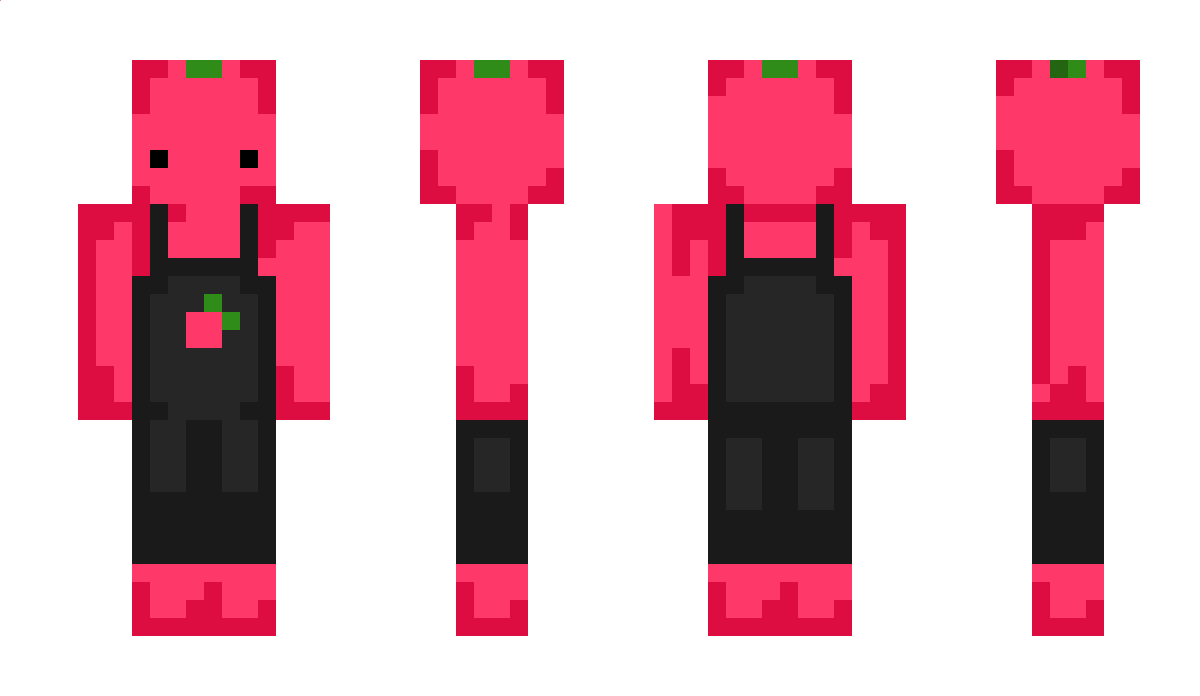 TheQwerks Minecraft Skin