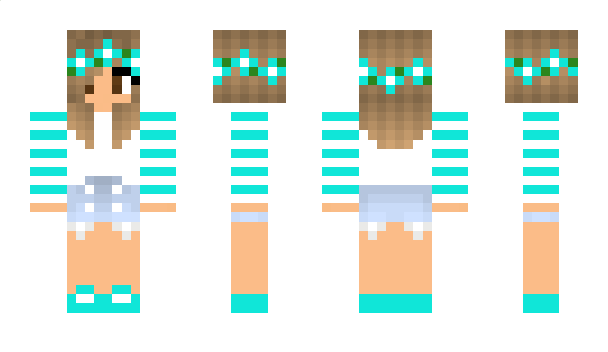 dft Minecraft Skin