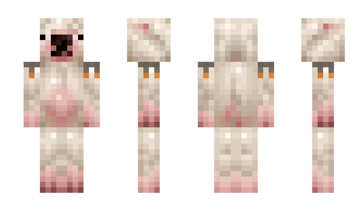 WiddleDuckyWucky Minecraft Skin