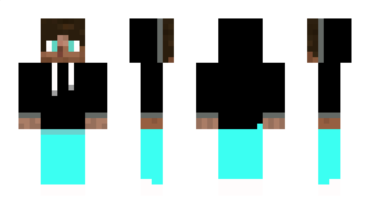 FI11H Minecraft Skin