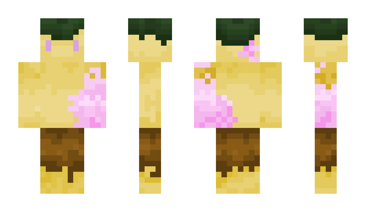 themachupicchu Minecraft Skin