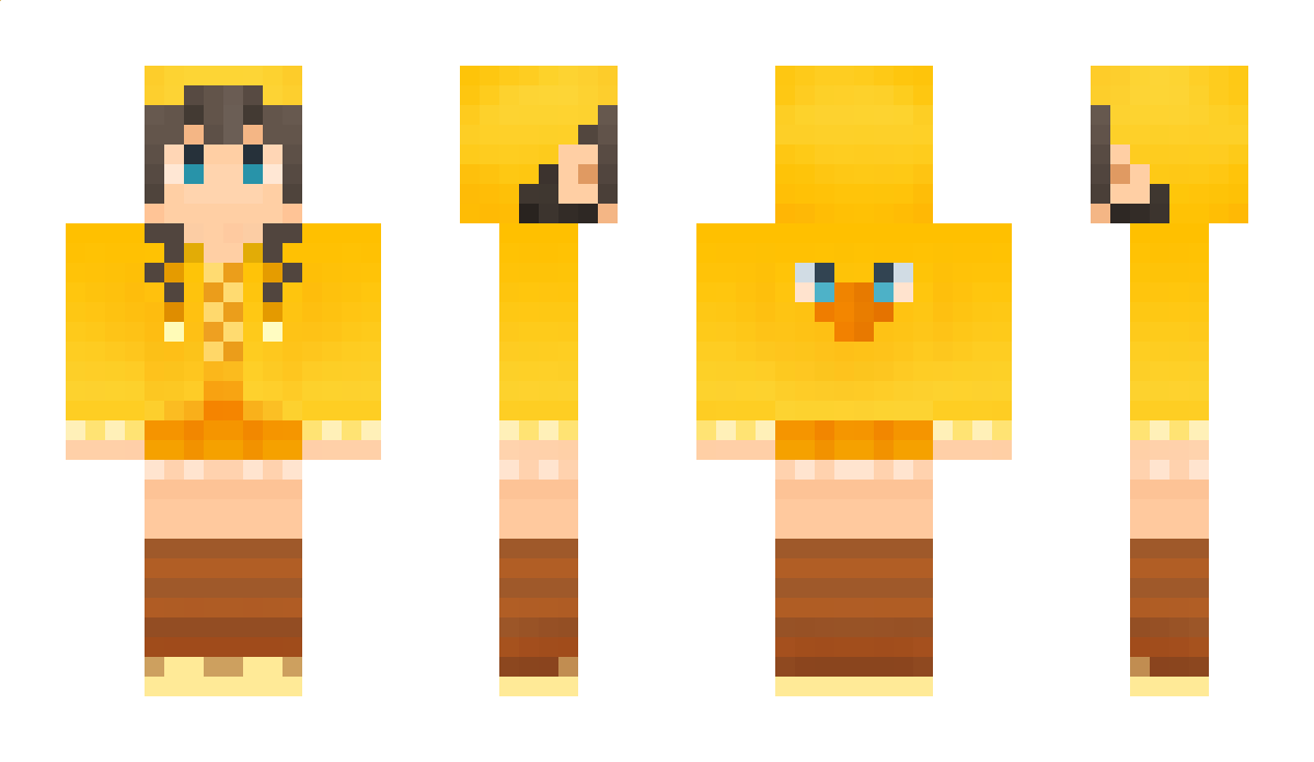 ASASA Minecraft Skin