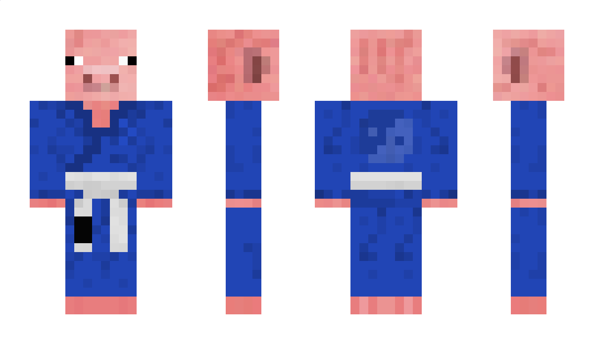 tozfu Minecraft Skin