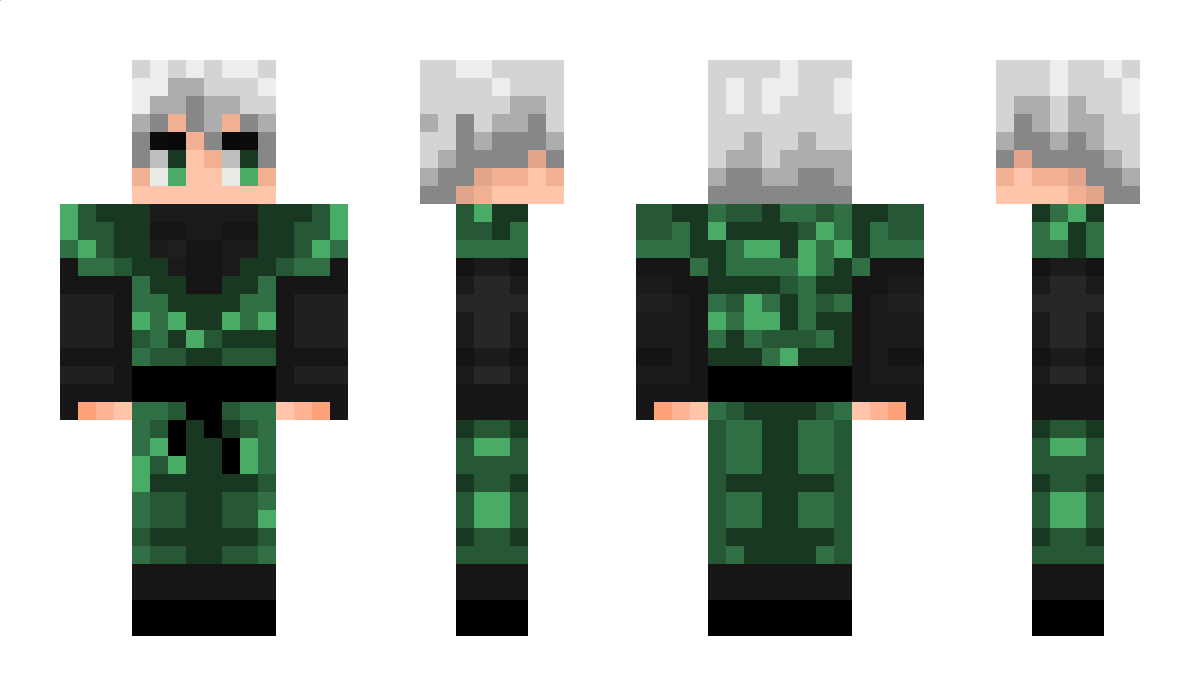 HFV Minecraft Skin