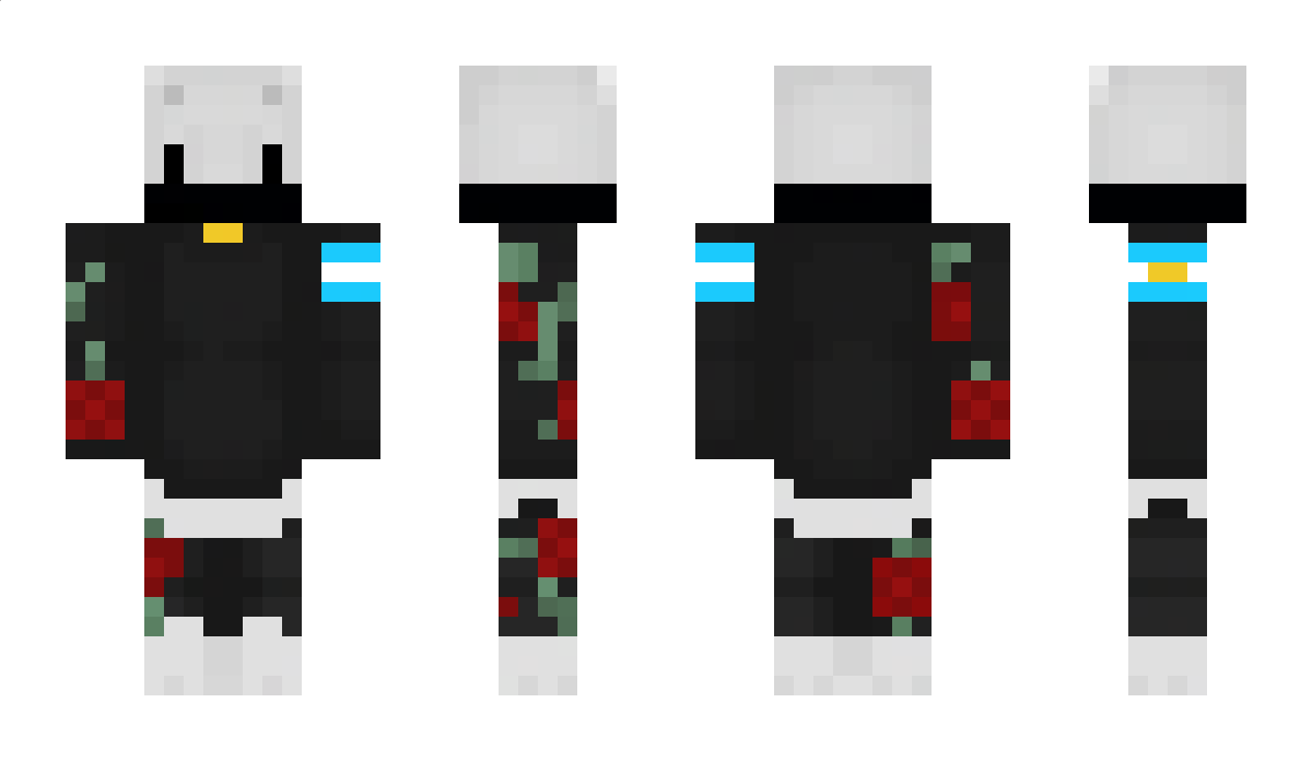 DraxV212 Minecraft Skin