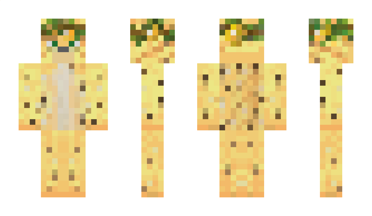 einOzzy Minecraft Skin