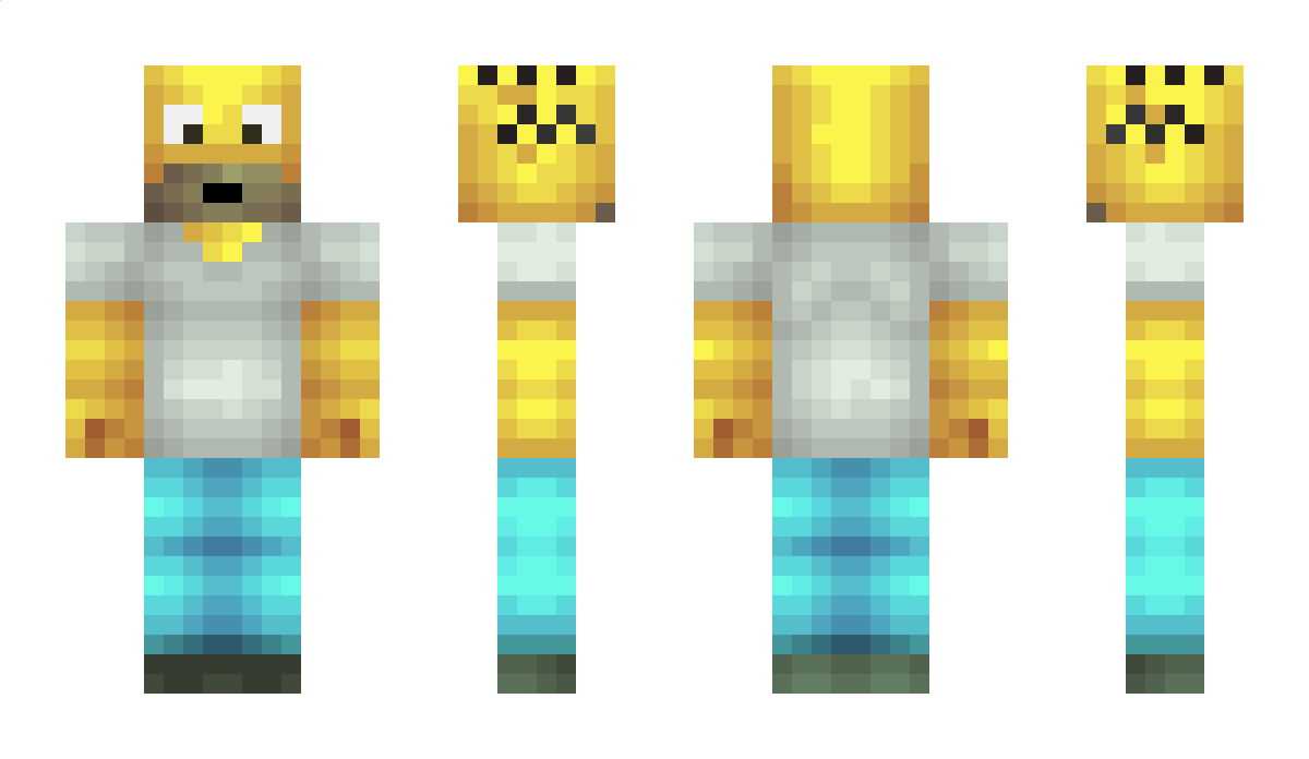 retartd Minecraft Skin