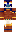 JoeBiden33 Minecraft Skin