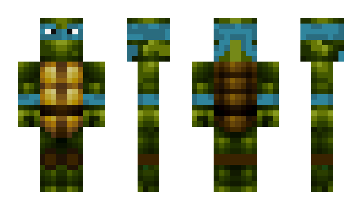 Turtles Minecraft Skin
