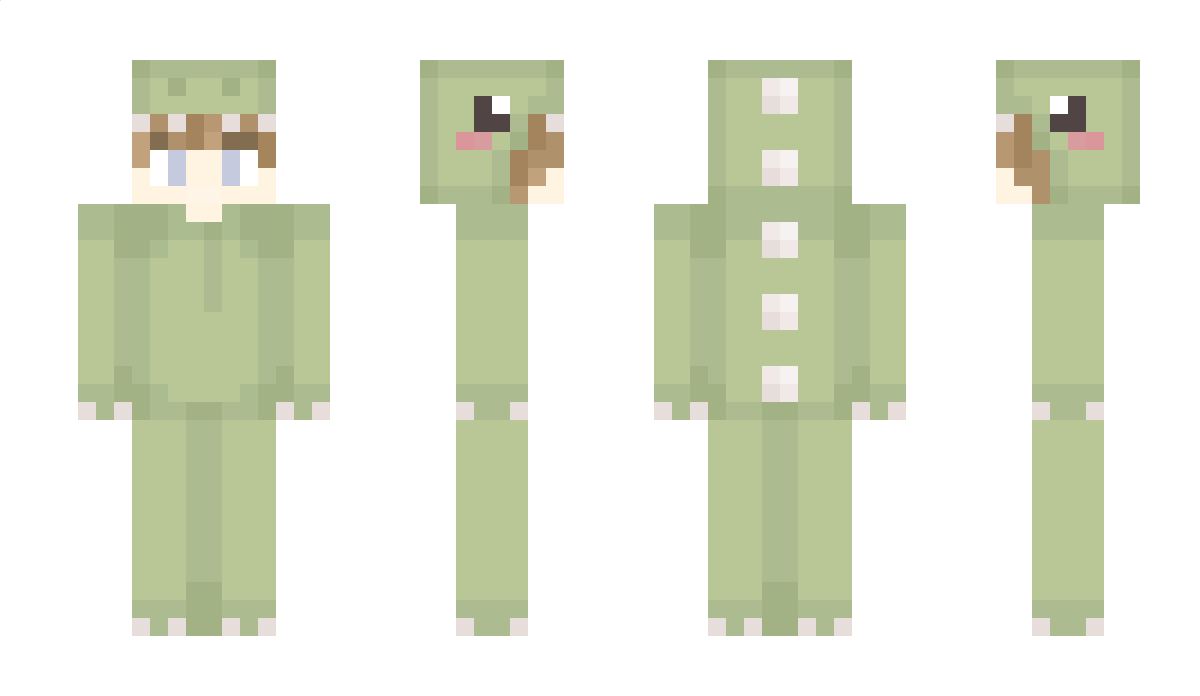 Haanip Minecraft Skin