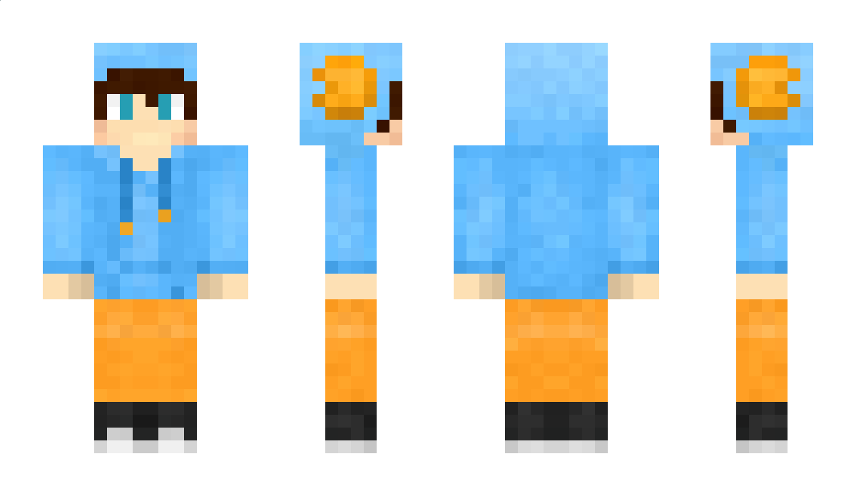 iceyturtles Minecraft Skin