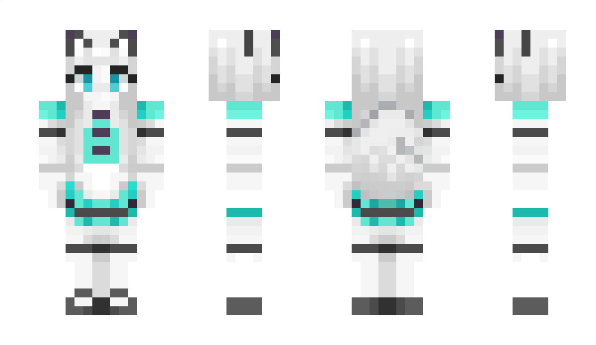 Purderi Minecraft Skin