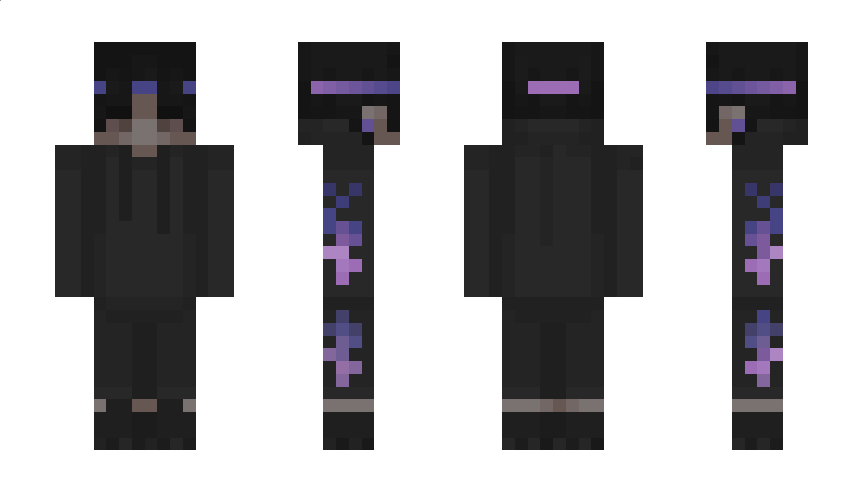 InsanityCraft Minecraft Skin