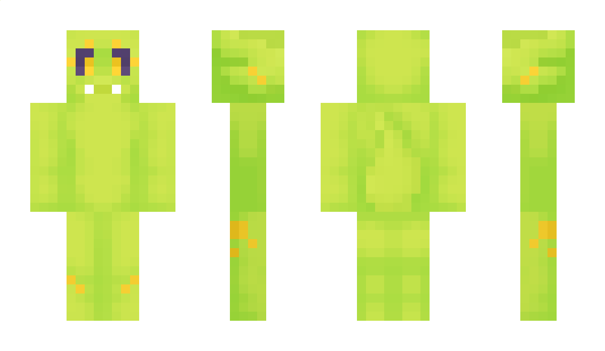 Raddums Minecraft Skin