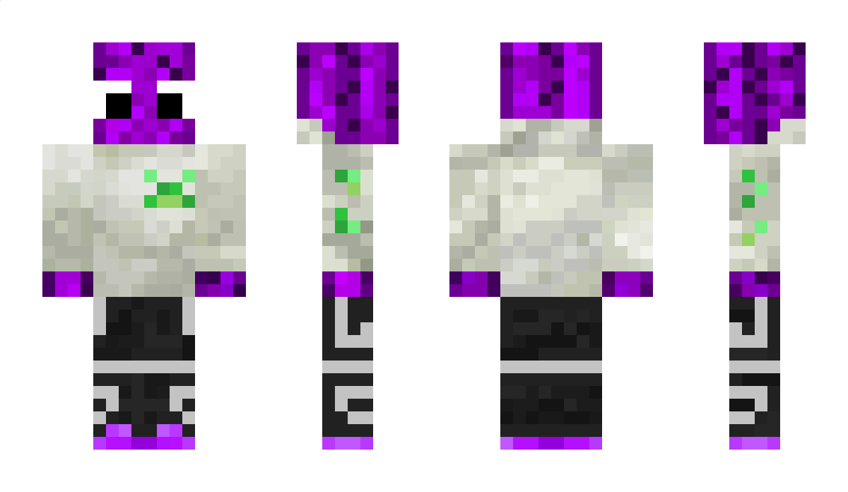 purplecactusss Minecraft Skin