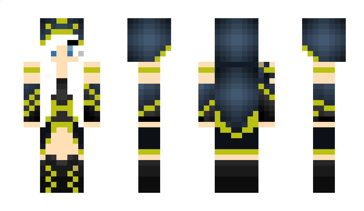 schived Minecraft Skin