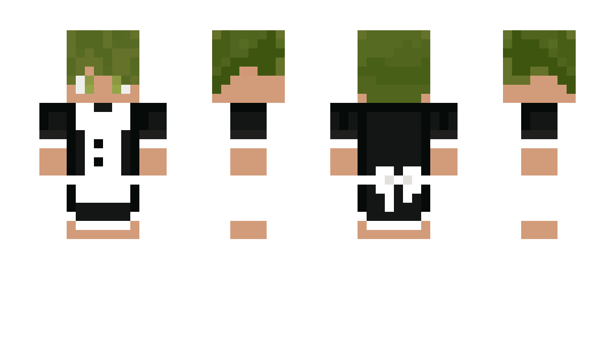 Zylch Minecraft Skin