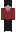 Ledz__ Minecraft Skin