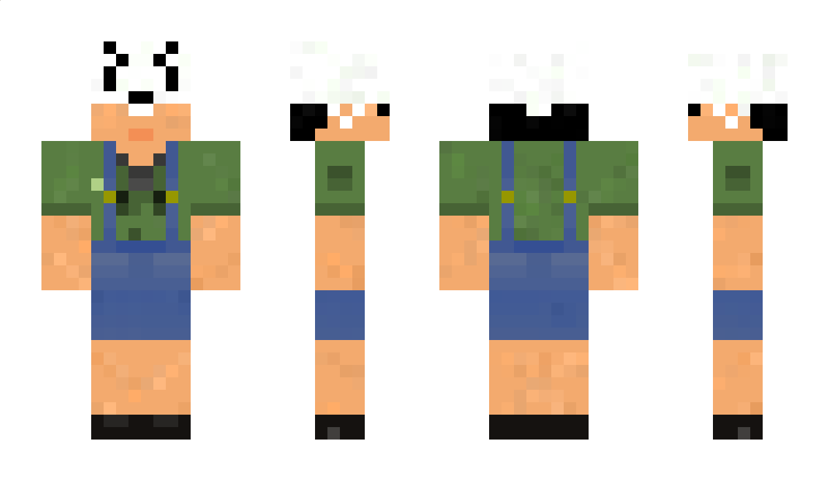 torazone Minecraft Skin