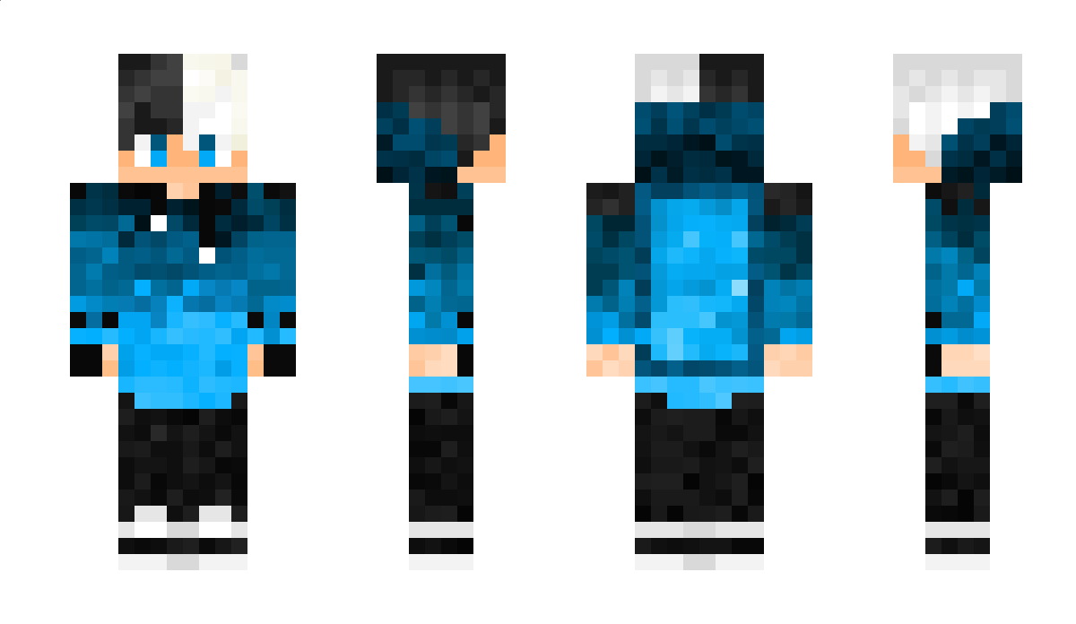 MC1Minecrafter Minecraft Skin