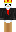 le_king_gunter Minecraft Skin