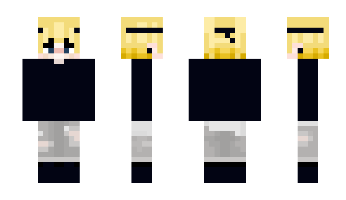 mfaccasort Minecraft Skin