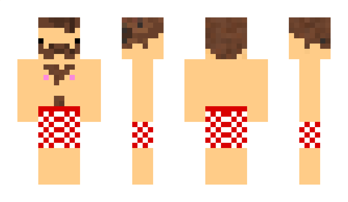 Paravoid Minecraft Skin