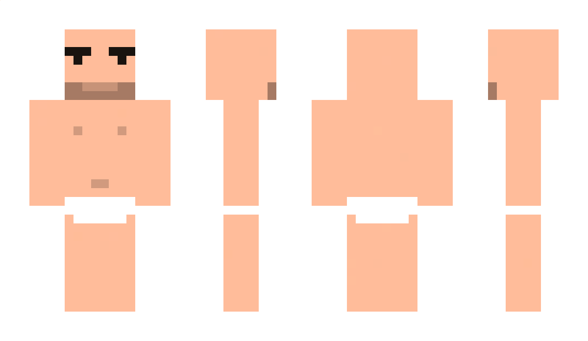 Pingouin20 Minecraft Skin