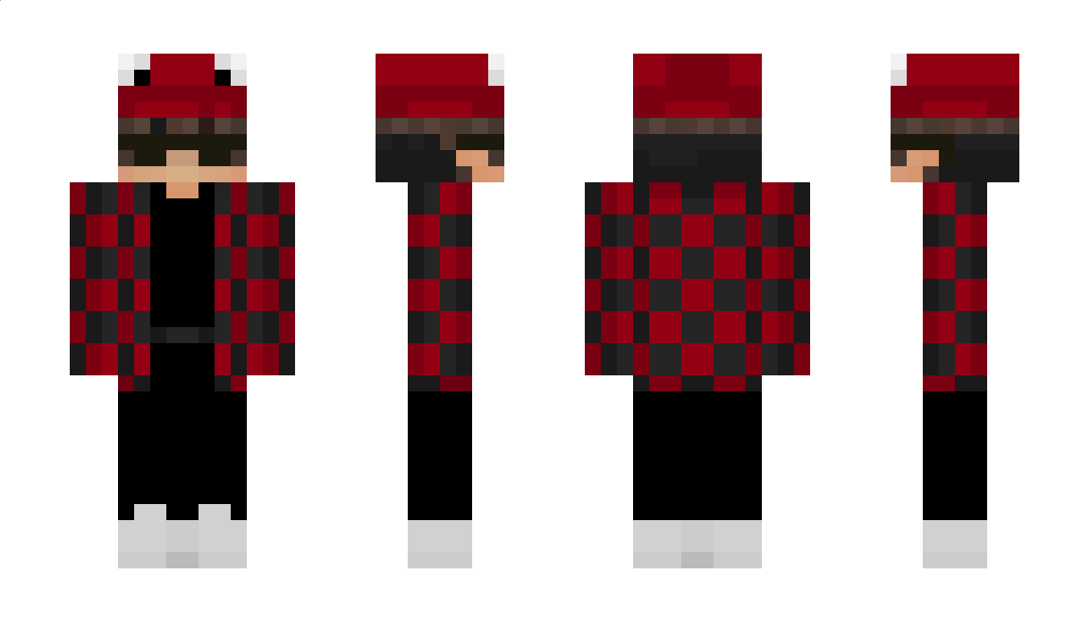 vidalnederland44 Minecraft Skin