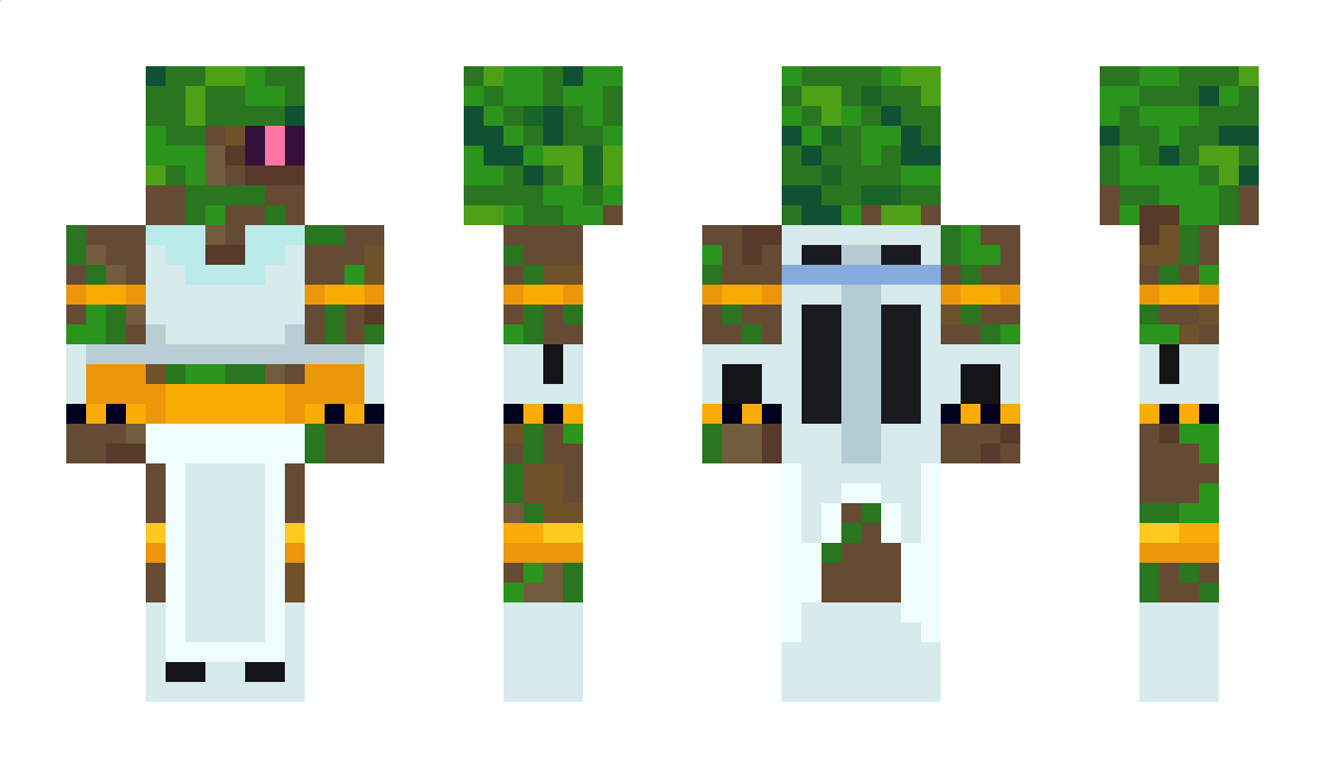 retropobor Minecraft Skin