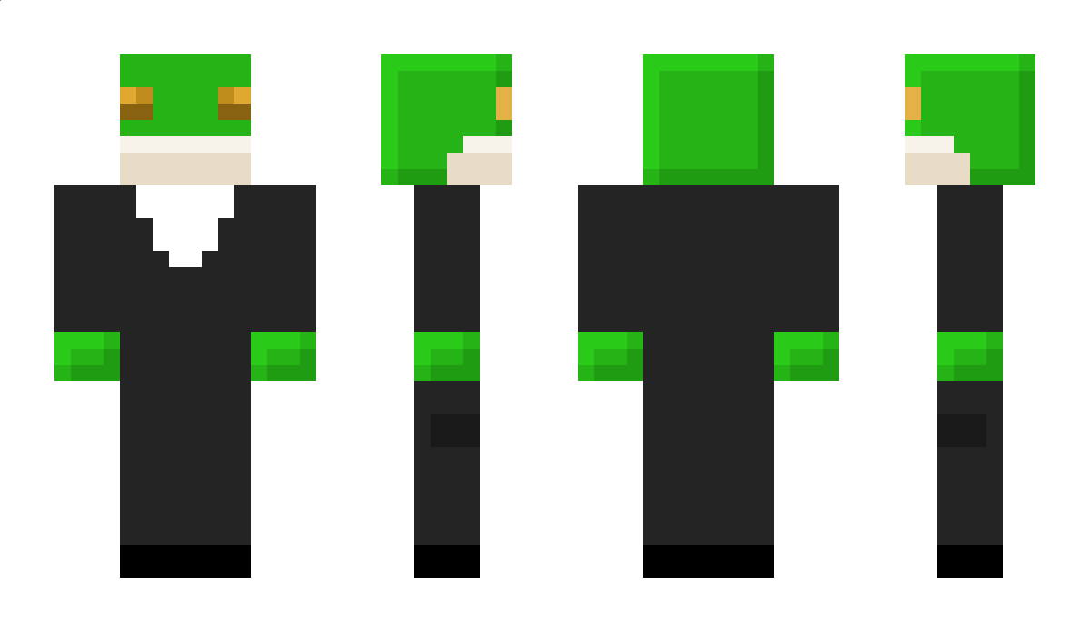 Mainari13 Minecraft Skin