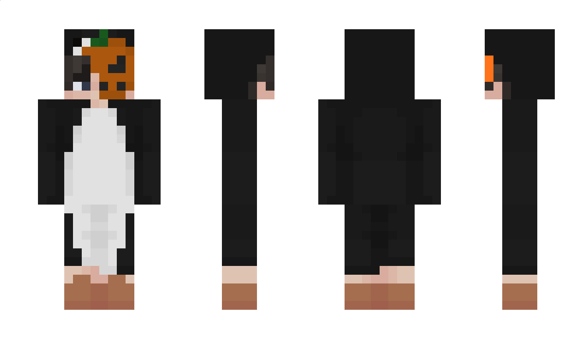 Phanton012 Minecraft Skin