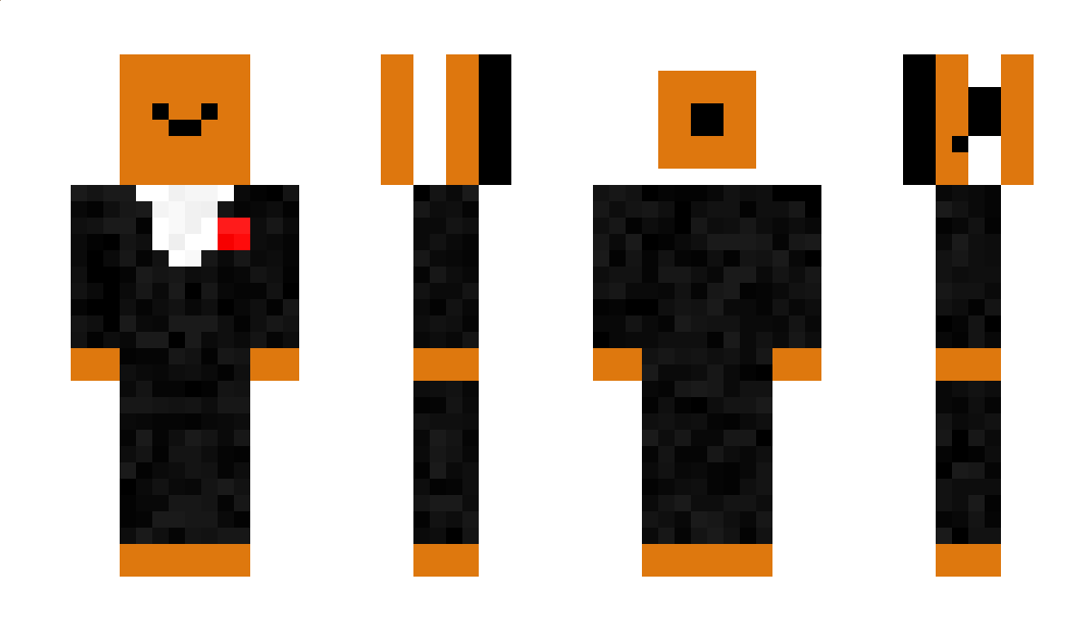 B1S5 Minecraft Skin