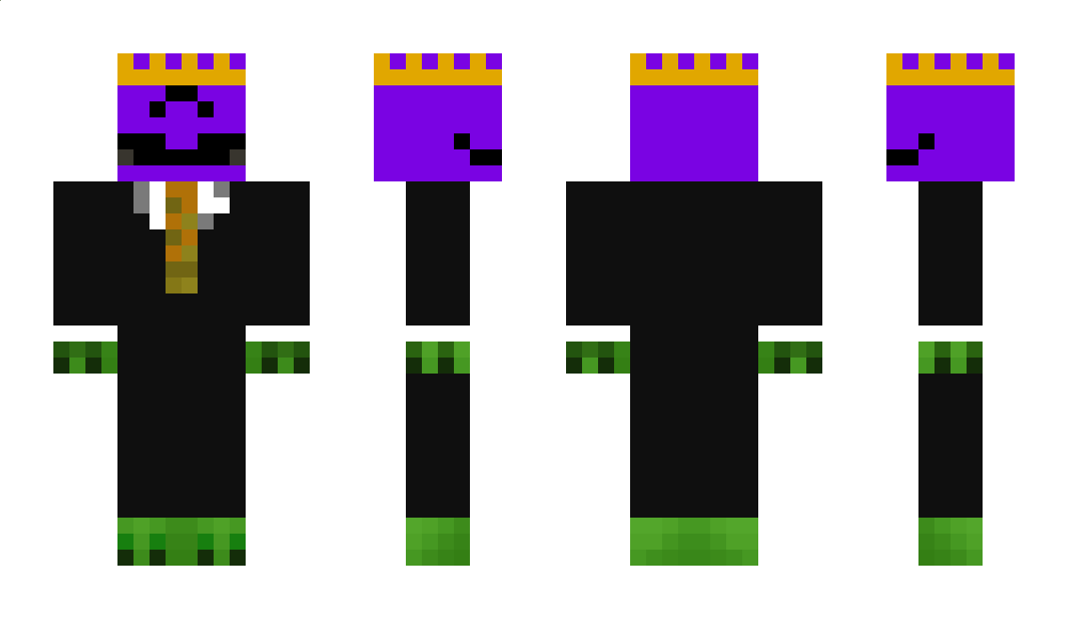 Tortlelugg Minecraft Skin