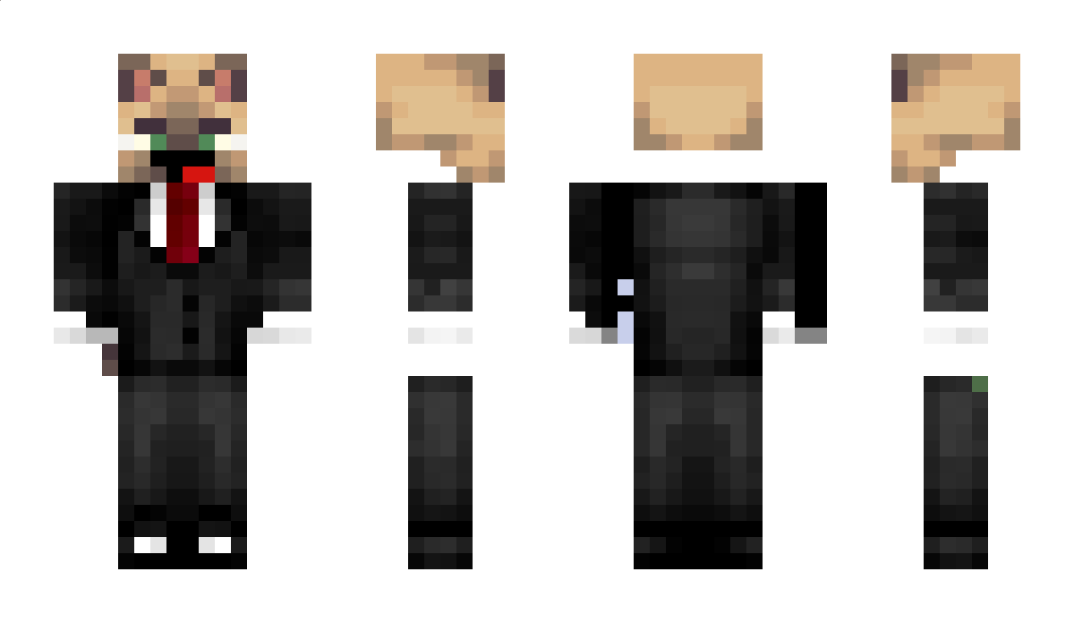 baconprogamer Minecraft Skin