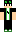 TERPIXZ Minecraft Skin