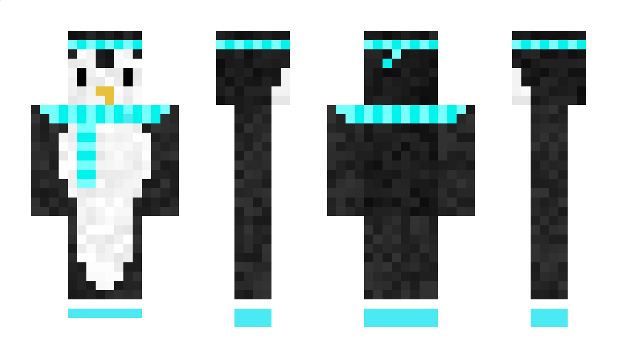 R3dW4sh Minecraft Skin