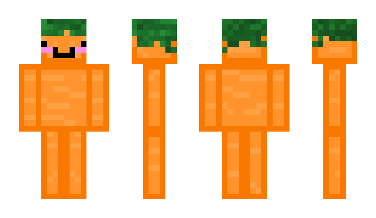 XxraytimexX Minecraft Skin