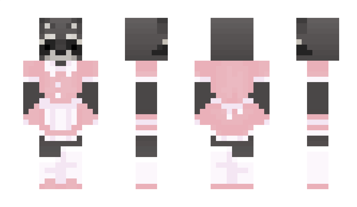 5acoon Minecraft Skin