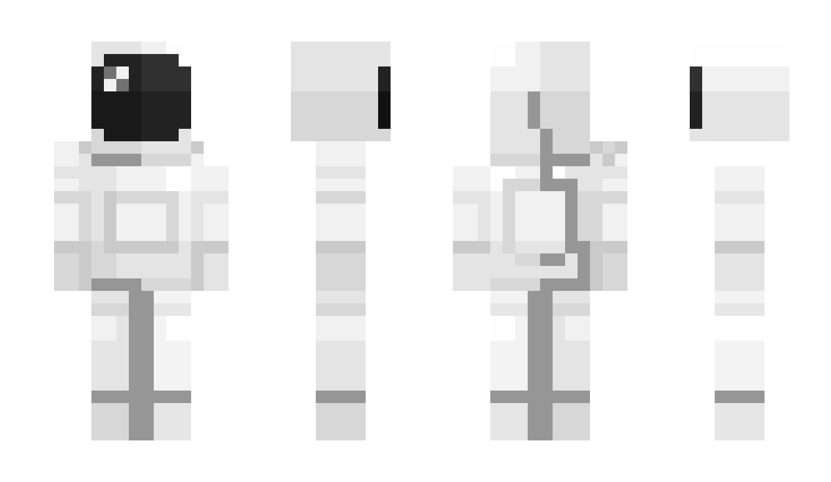 BigShirt Minecraft Skin