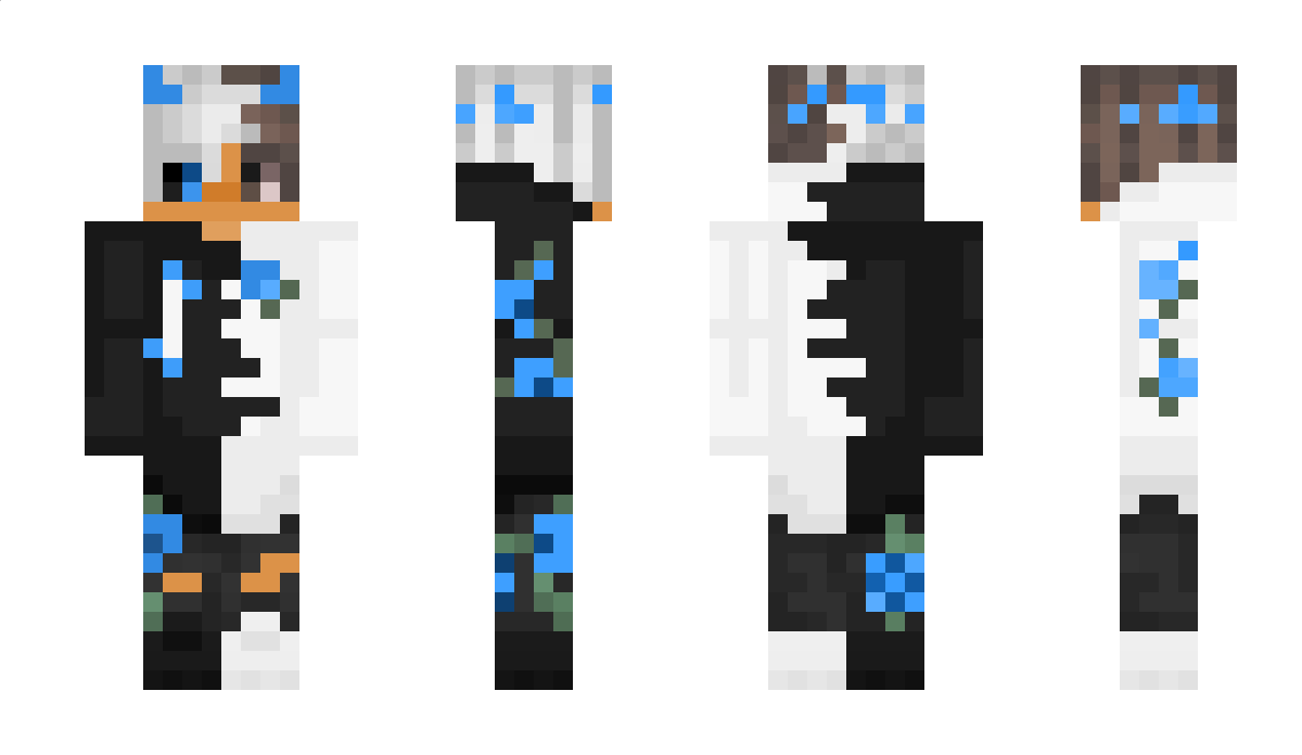 FrozenGamerz Minecraft Skin