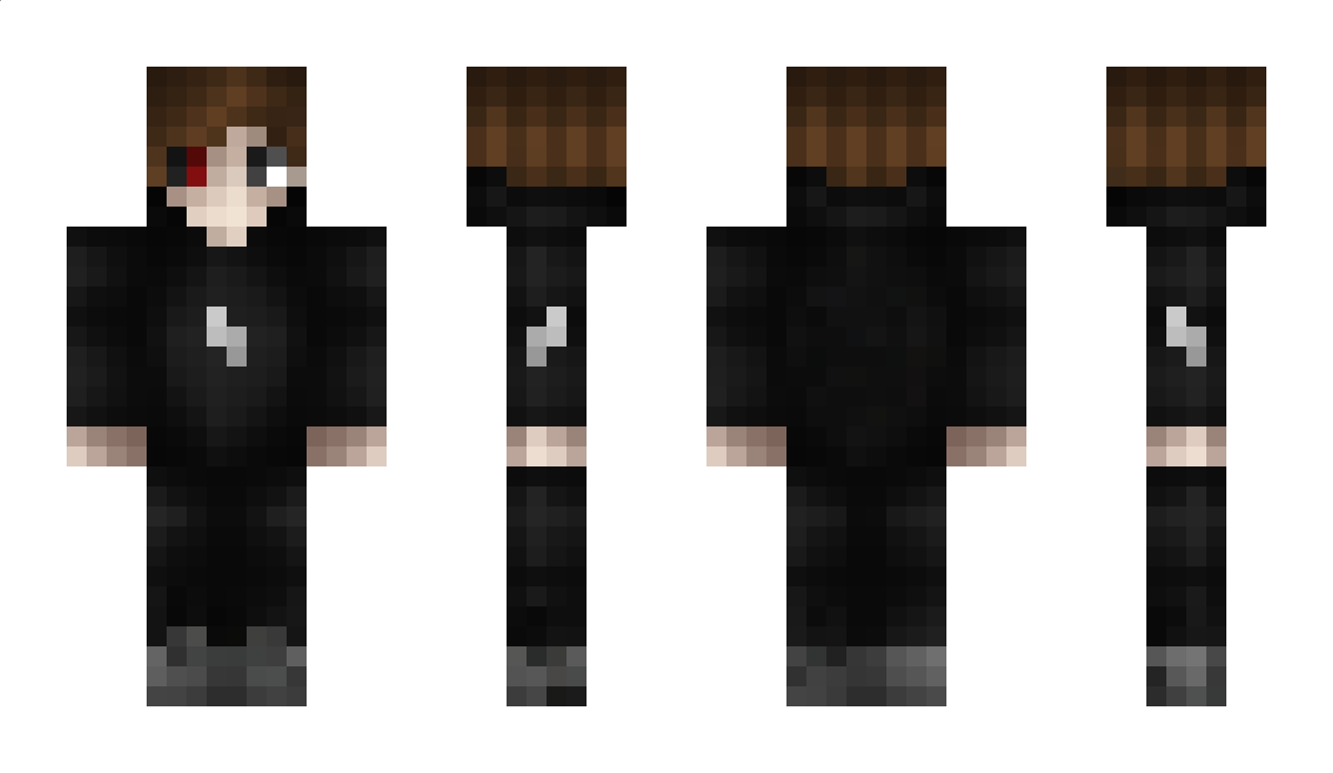 AlpLion Minecraft Skin