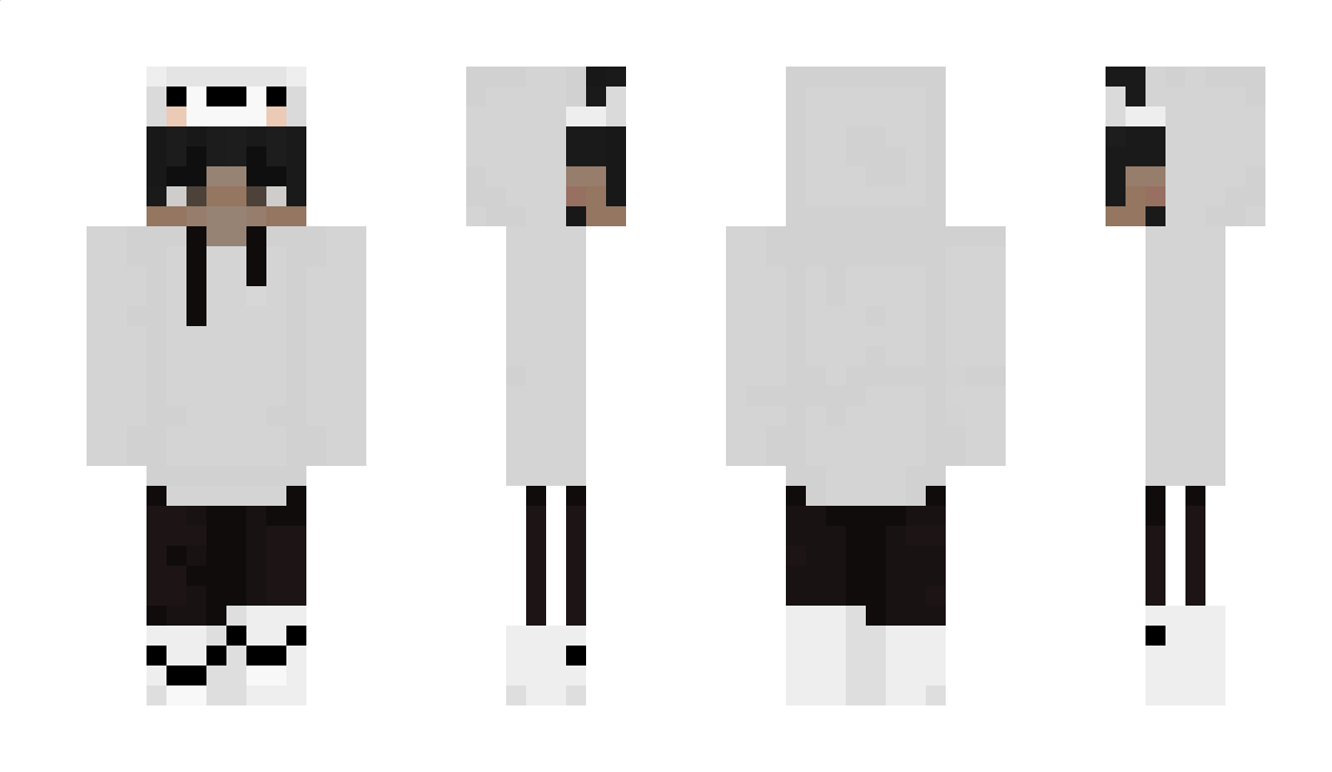 polarate Minecraft Skin