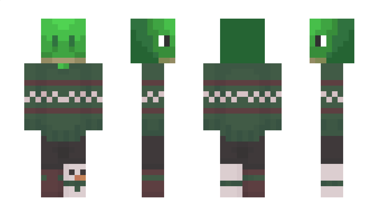 dawnturtlee Minecraft Skin