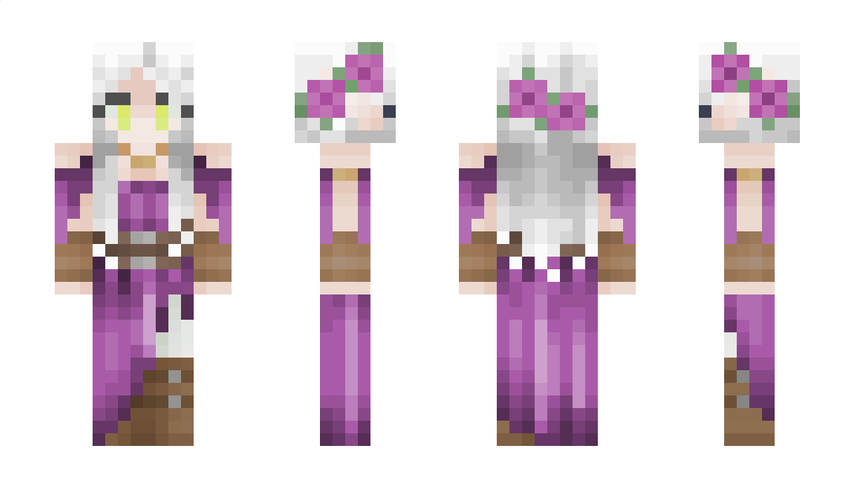 DTeam5 Minecraft Skin